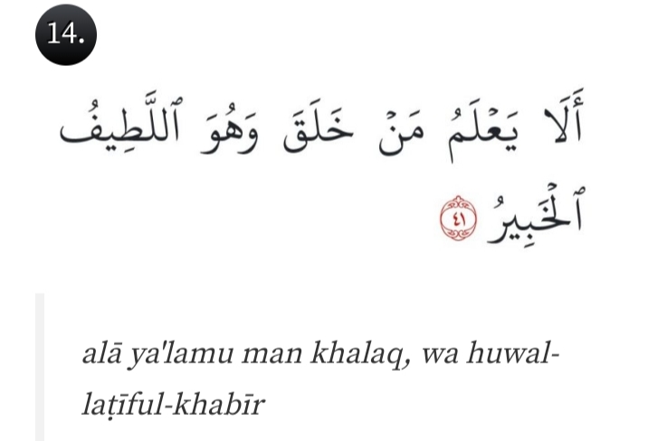 Al Mulk Ayat 14