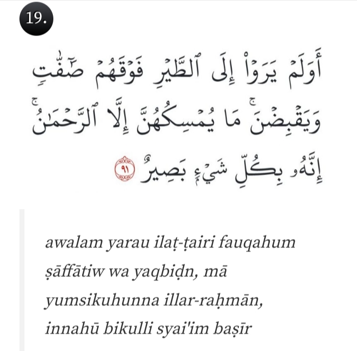 Al Mulk Ayat 19