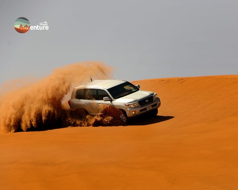 Why Desert Safari Dubai Research Is Important before going: